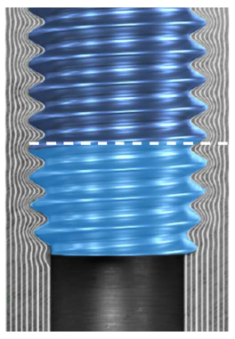 Die Powertite-Schraube ist eine runde gewindefurchende Schraube mit einer polygonalen Furchspitze und einer Trilobular-Furchzone. Der runde Tragquerschnitt hat ein definiertes Übermaß. © Arnold Umformtechnik